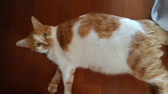 生き物ルーム第9ヽ(^○^)ノ