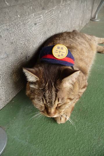 生き物ルーム第9ヽ(^○^)ノ