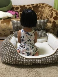 アンチコストコの夫に