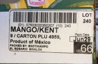 2018年 猛暑のマンゴー(尼崎)