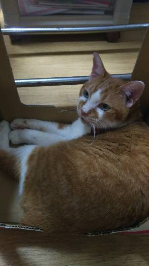 生き物ルーム第9ヽ(^○^)ノ