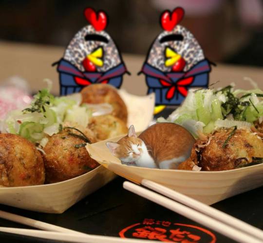 生き物ルーム第9ヽ(^○^)ノ