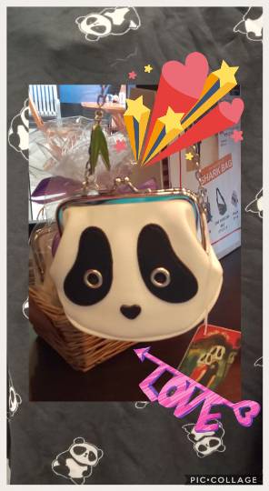 生き物ルーム第9ヽ(^○^)ノ