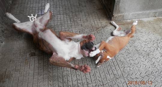 生き物ルーム第9ヽ(^○^)ノ