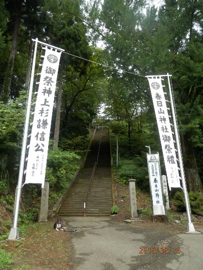 生き物ルーム第9ヽ(^○^)ノ