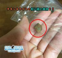 カークランドチキン＆ライスドッグフード