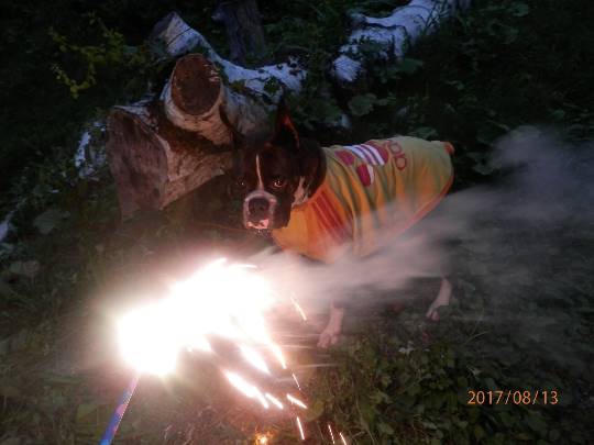 生き物ルーム第9ヽ(^○^)ノ