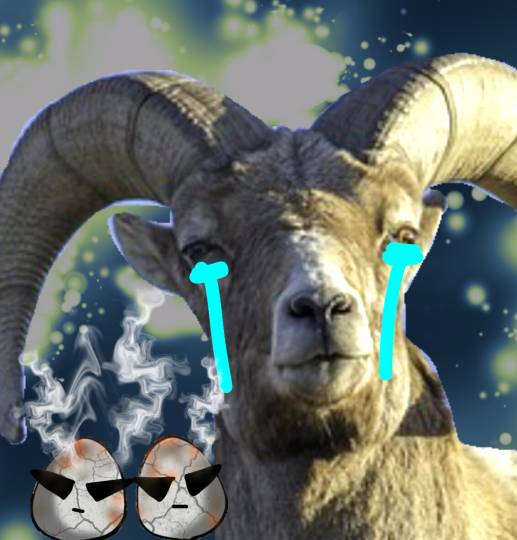 生き物ルーム第9ヽ(^○^)ノ