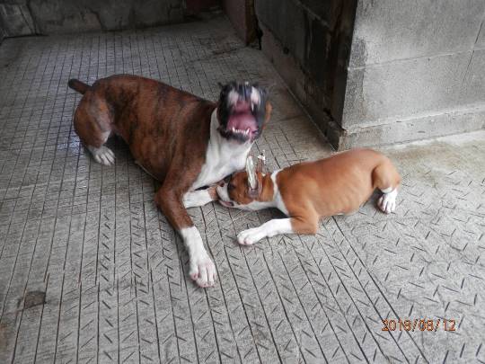 生き物ルーム第9ヽ(^○^)ノ