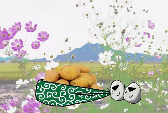 つぶやきトピ 47  ようお越し(*^ω^*)