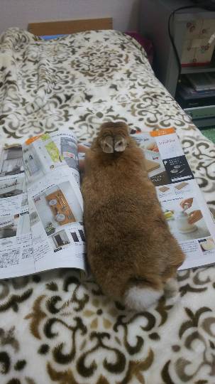 生き物ルーム第9ヽ(^○^)ノ