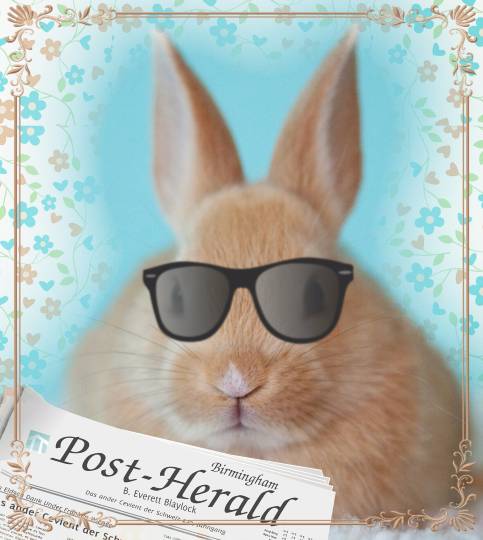 生き物ルーム第9ヽ(^○^)ノ