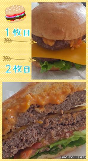 つぶやきトピ 47  ようお越し(*^ω^*)