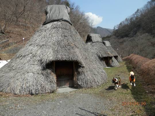 生き物ルーム第9ヽ(^○^)ノ