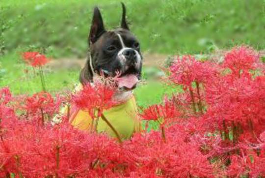 vol.11 愛調(オチョ)南関東(ミナカン)連合 猛暑も台風もぶっ飛ばーす!押忍!