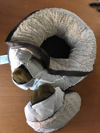 ネストペットベッド （イタホイ)