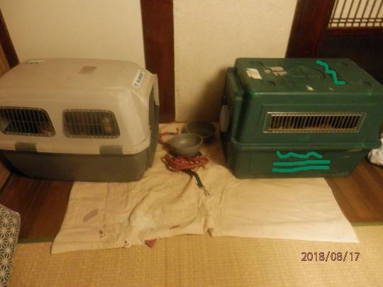 生き物ルーム第9ヽ(^○^)ノ