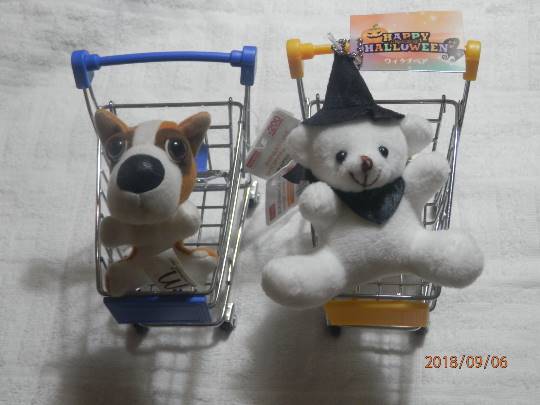 vol.11 愛調(オチョ)南関東(ミナカン)連合 猛暑も台風もぶっ飛ばーす!押忍!