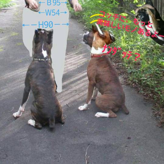 生き物ルーム第9ヽ(^○^)ノ