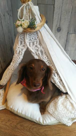 生き物ルーム第9ヽ(^○^)ノ