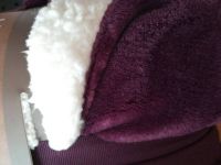 クーポンのシャーパカラー