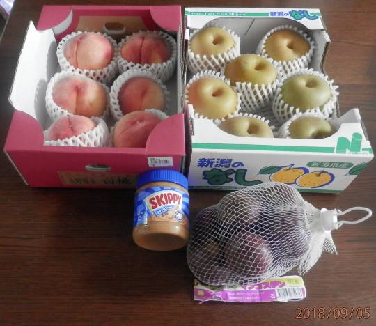 9/5 多摩境 ラザニア98円