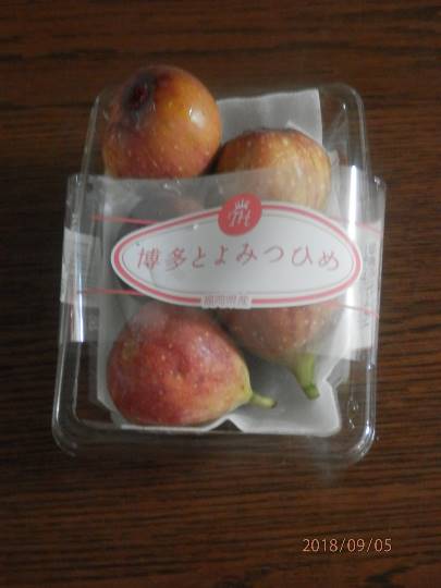 vol.11　愛調(ｵﾁｮ)南関東(ミナカン)連合　猛暑も台風もぶっ飛ばーす！押忍！