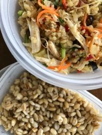 スナッピーグレインズ　有機大麦