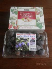 9月12日(水)午前の多摩境、レジ前に。