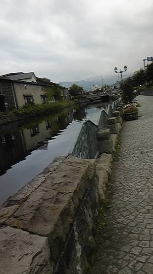 生き物ルーム第10(=^ェ^=)