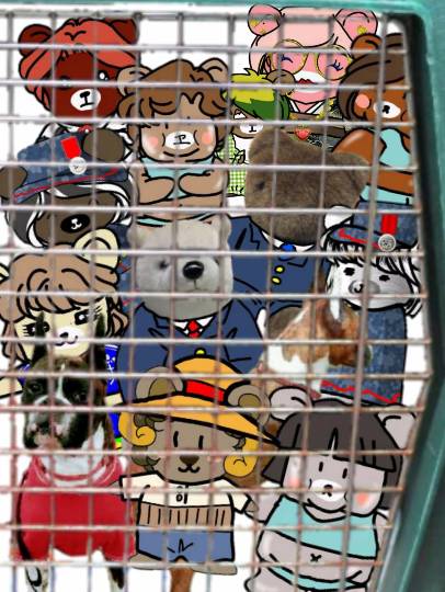 生き物ルーム第10(=^ェ^=)