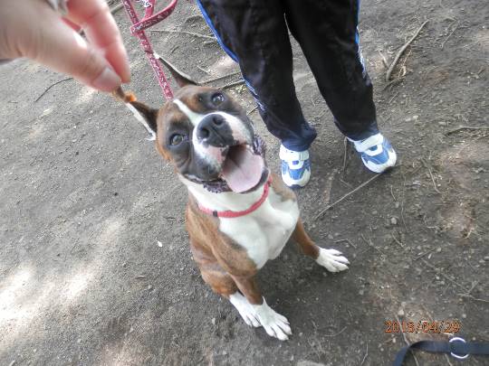 生き物ルーム第10(=^ェ^=)