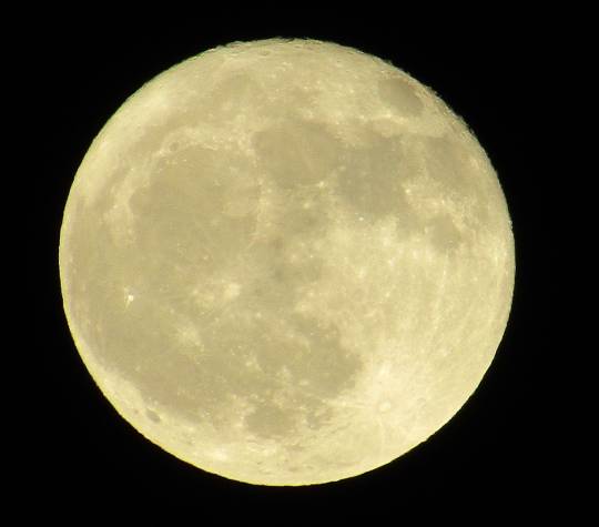 つぶやきトピ 47  ようお越し(*^ω^*)