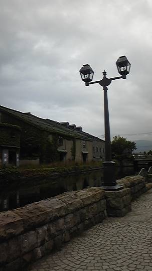 生き物ルーム第10(=^ェ^=)