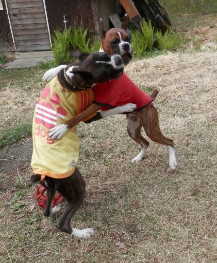 生き物ルーム第10(=^ェ^=)