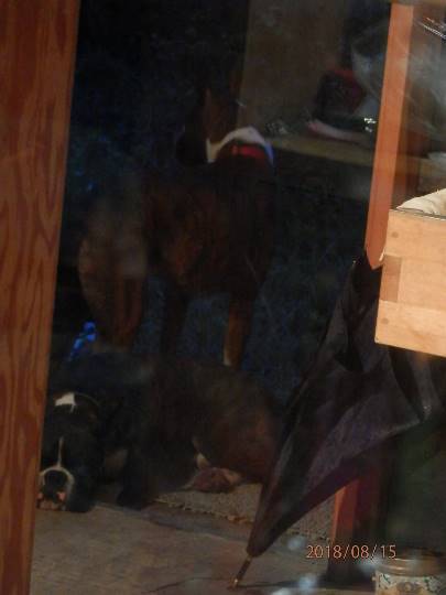 生き物ルーム第10(=^ェ^=)