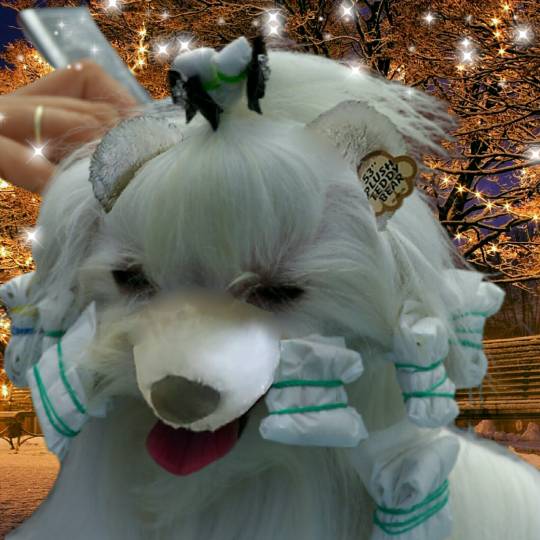 生き物ルーム第10(=^ェ^=)