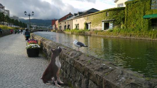 生き物ルーム第10(=^ェ^=)