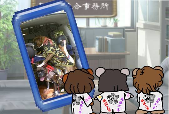 生き物ルーム第10(=^ェ^=)