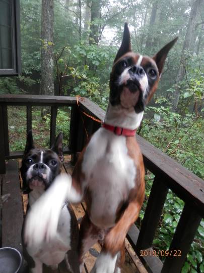 生き物ルーム第10(=^ェ^=)