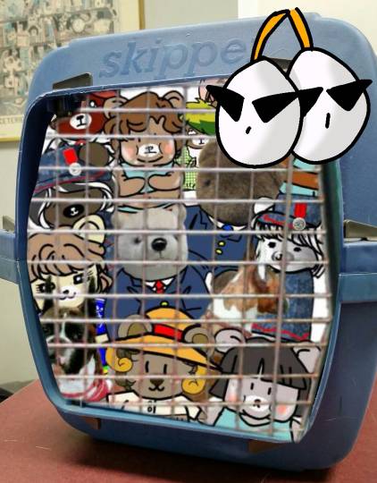 生き物ルーム第10(=^ェ^=)