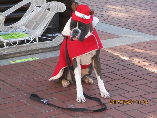 生き物ルーム第10(=^ェ^=)