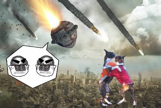 生き物ルーム第10(=^ェ^=)