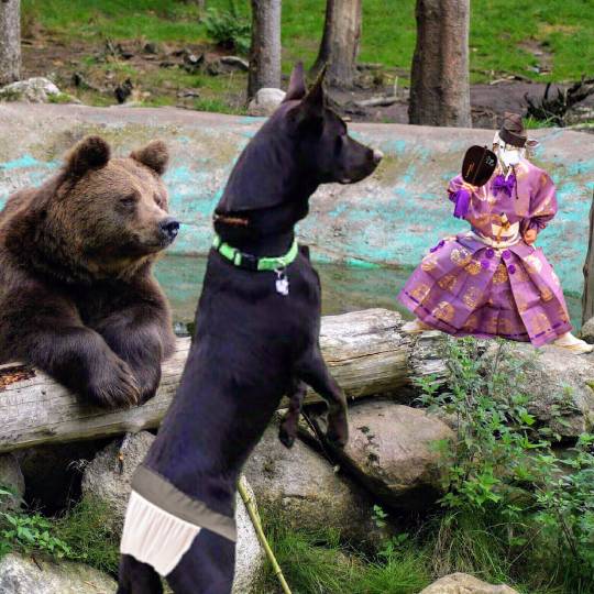 生き物ルーム第10(=^ェ^=)