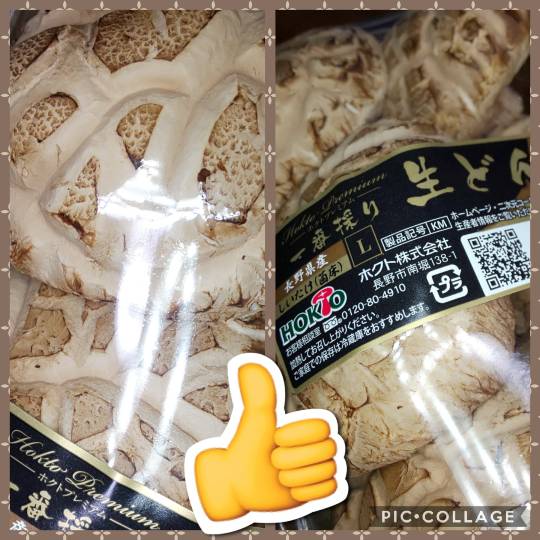 vol.12　愛調(ｵﾁｮ)南関東(ミナカン)連合　Merry Christmasか？！