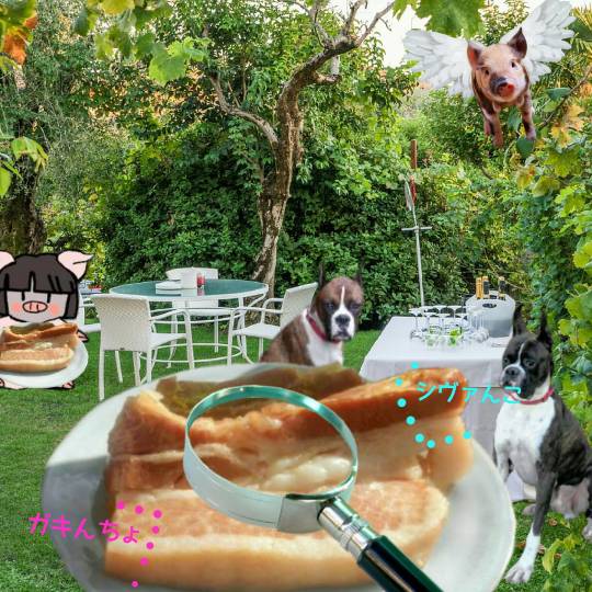 生き物ルーム第10(=^ェ^=)