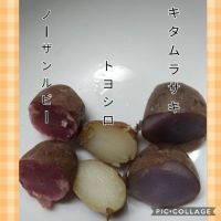 11月14日(水) 浜松