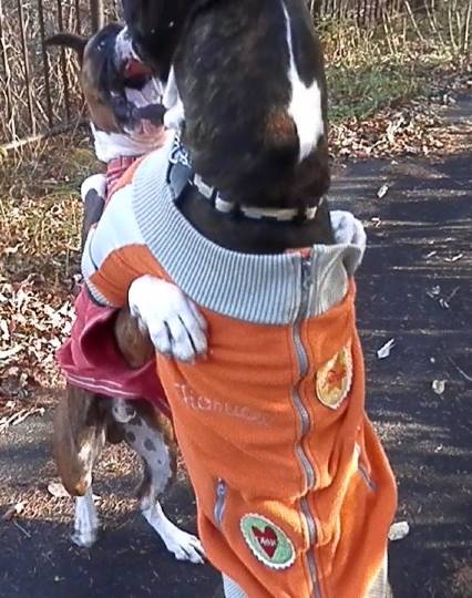 生き物ルーム第10(=^ェ^=)