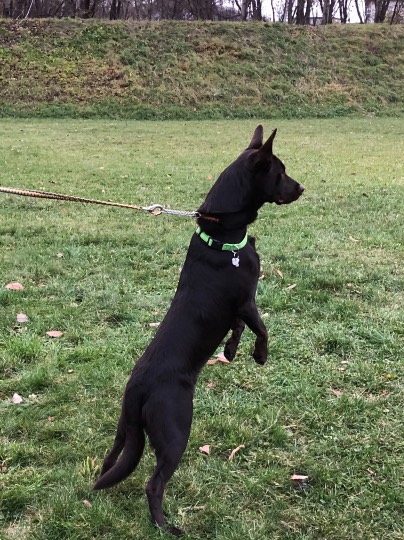 生き物ルーム第10(=^ェ^=)