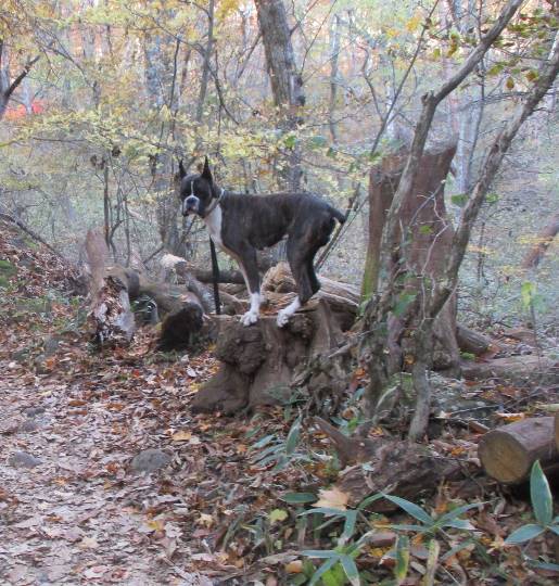 生き物ルーム第10(=^ェ^=)